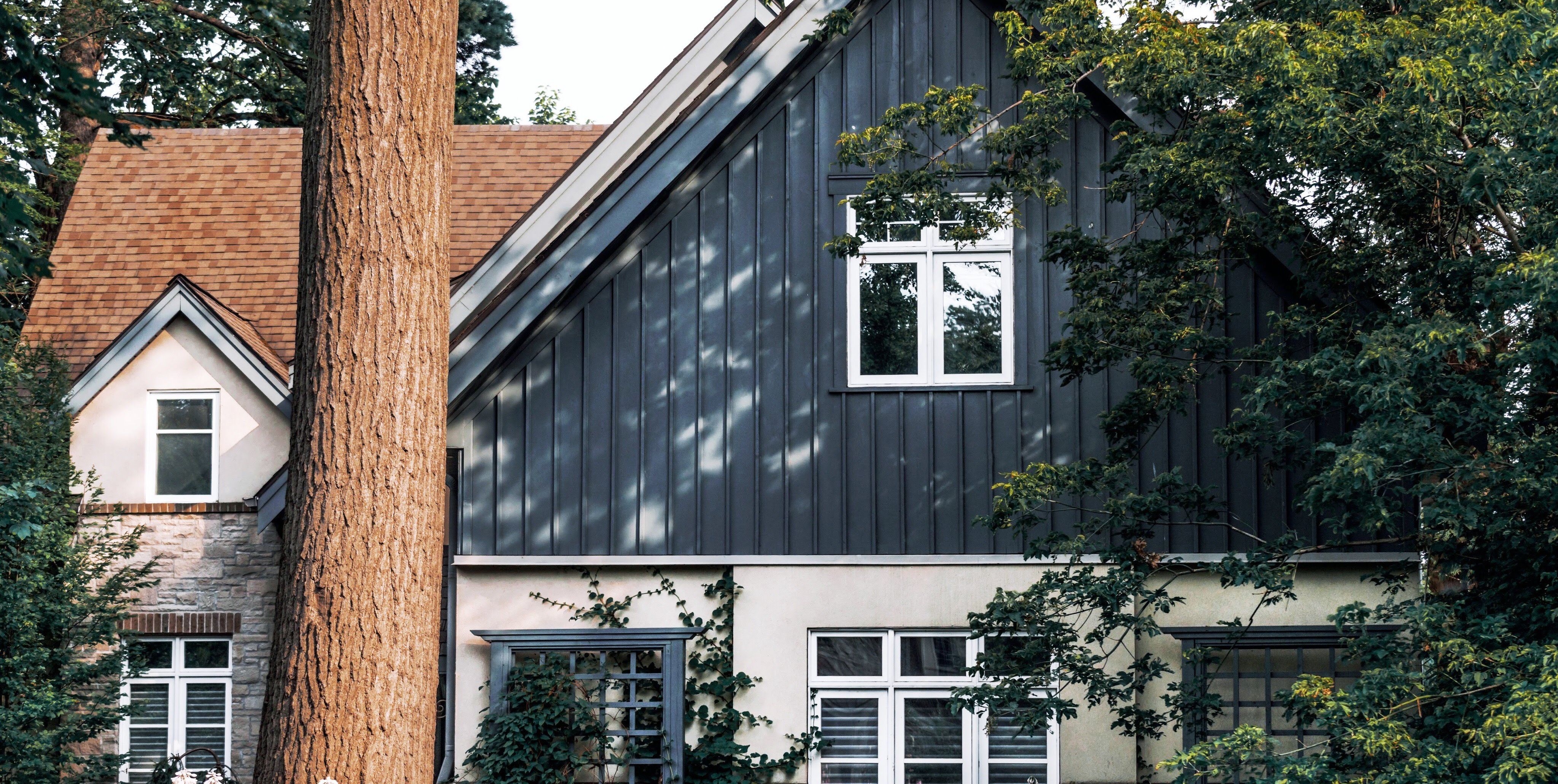 Navy-blue home with large mature trees and dappled shade